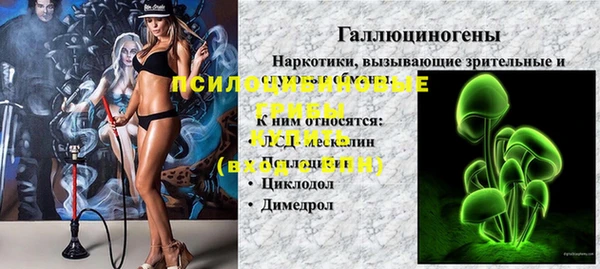 spice Аркадак
