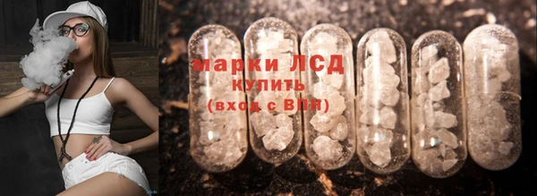 spice Аркадак
